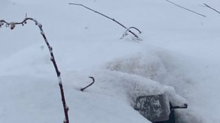 Thumbnail of post image 200